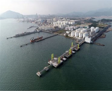 大亚湾惠州港荃湾港区50000吨级码头通过竣工验收